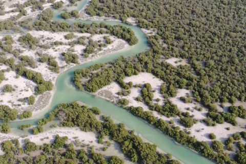 卡塔尔北部探索之旅：历史、遗产和瑰宝北卡塔尔探索之旅：历史、遗产和瑰宝