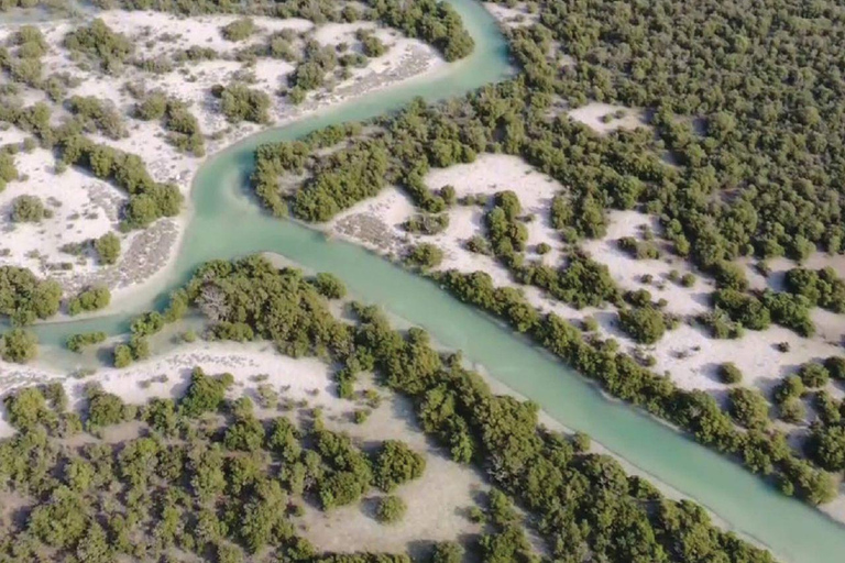 卡塔尔北部探索之旅：历史、遗产和瑰宝北卡塔尔探索之旅：历史、遗产和瑰宝