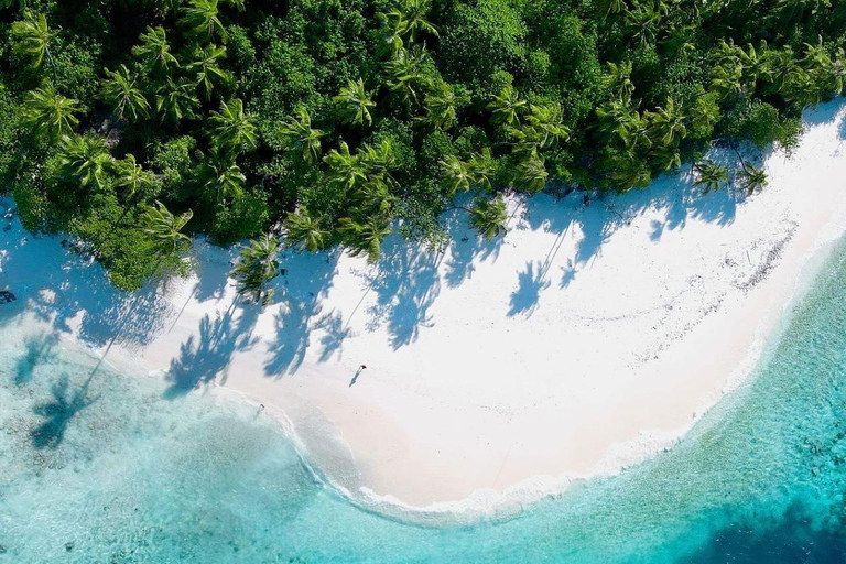 Jozani Forest, Stone Town with Lunch, Night Fish Market