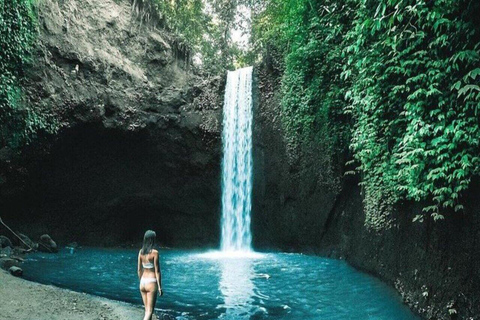 Ubud: Monkey Forest, Pura, Rice Terraces, Hidden Waterfall Ubud : Private Tour With Ticket