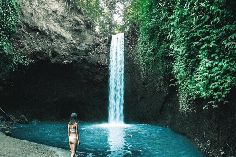 Ubud: Monkey Forest, Pura, Rice Terraces, Hidden Waterfall Ubud : Private Tour With Ticket