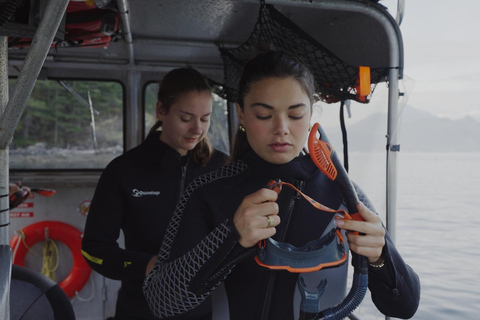 Snorkel Focas Remando Vida Salvaje Tour en barco en Vancouver