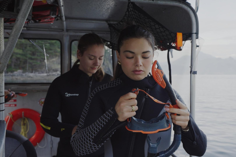 Snorkel Focas Remando Vida Salvaje Tour en barco en Vancouver