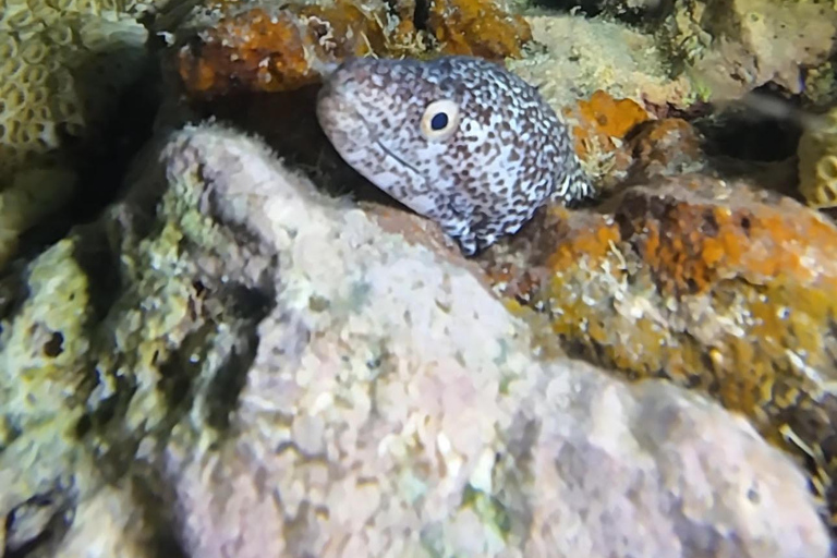 Key West: Scuba Diving Refresher Course