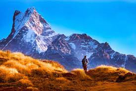 From Pokhara: 4 days Mardi Himal trek