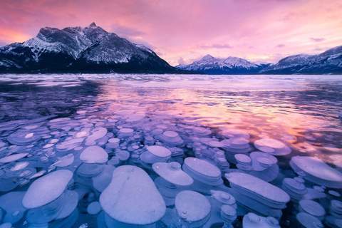 坎莫尔/班夫：亚伯拉罕冰泡湖、佩托湖、弓湖