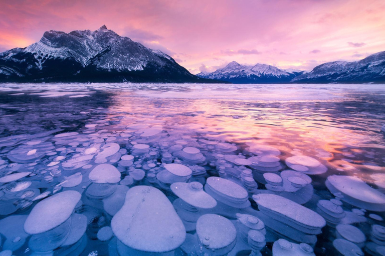 坎莫尔/班夫：亚伯拉罕冰泡湖、佩托湖、弓湖
