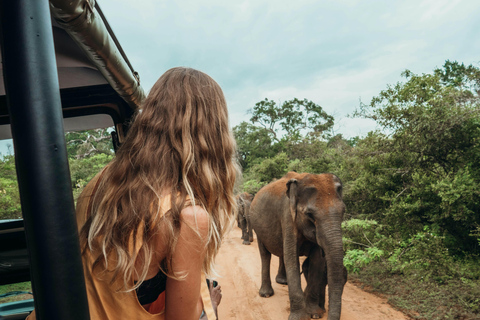 Van:Mirissa/Galle/Hilkaduwa met Udawalawe safari