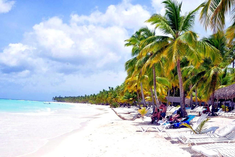 From Punta Cana: Isla Saona Day Trip with Lunch & Drinks