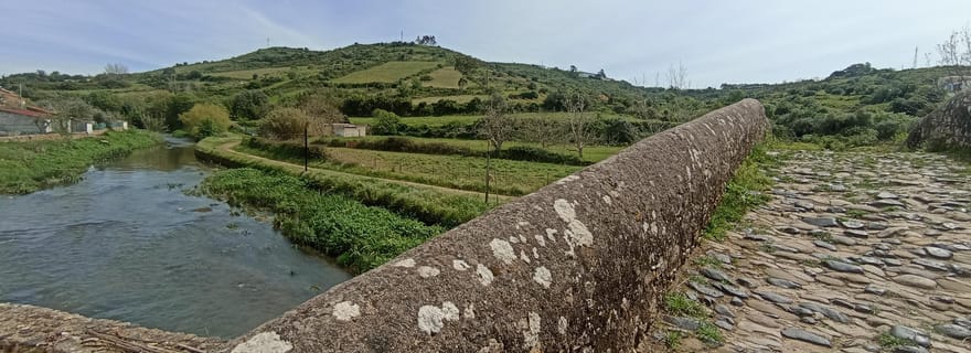 Au départ de Sintra, Mafra ou Ericeira : randonnée et circuit viticole