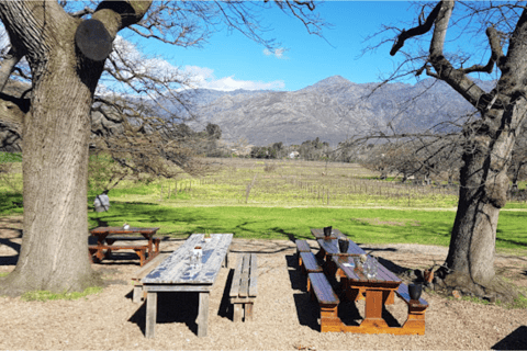 Cape Town: Stellenbosch, Franschhoek and Paarl Wine Day Trip