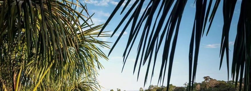 Tingo María : Navigation sur la Laguna Milagros - Lagune des Miracles