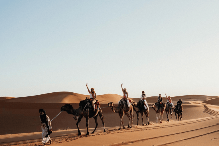 Fes till Marrakech: 3-dagars kamelvandring i Sahara &amp; glampingStandard Camp i öknen