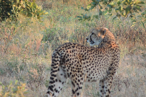 Kruger National Park Safari - 3 Day