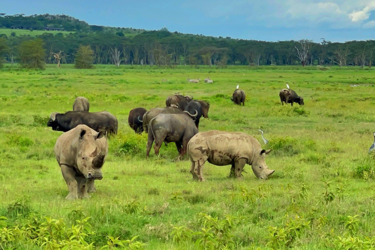 Nairobi: Lake Nakuru National Park Safari with Lunch