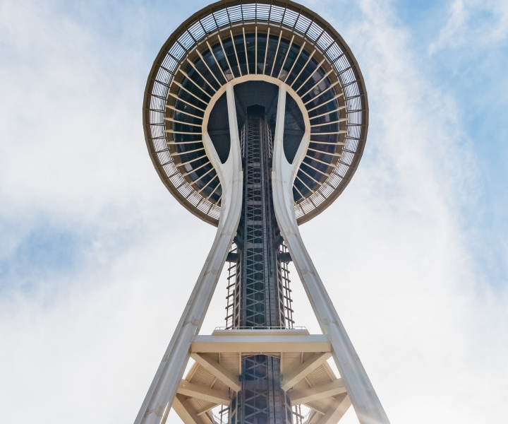 Seattle: Space Needle e Chihuly Garden e biglietto di vetro