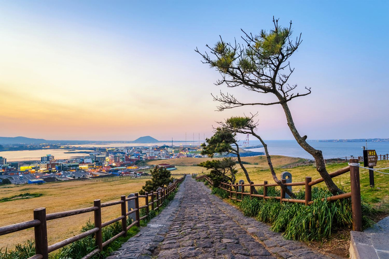Jeju: Day Tour, Small Volcano & Landmark & UNESCO Heritage Private Day Tour 5hr (Just Car Charter/Not including ticket)
