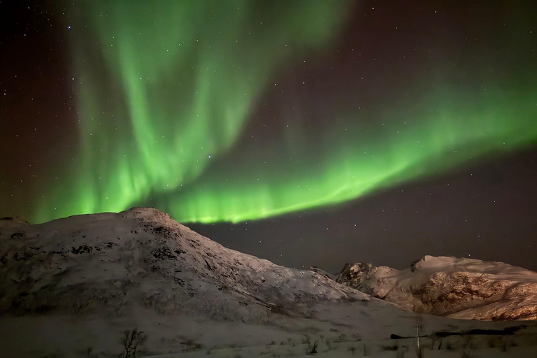 Tromsø: Wycieczka po zorzy polarnej z gorącym jedzeniem i napojami