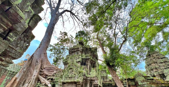 Angkor: The Jungle Temple tour by Vintage Jeep