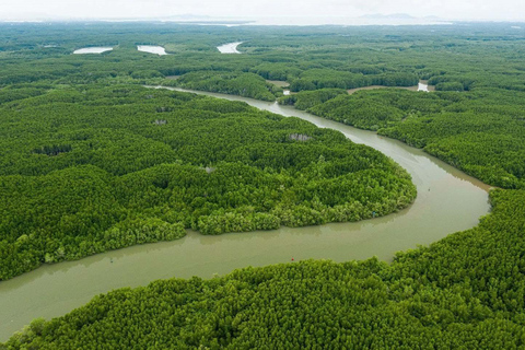 Excursion d'une journée à l'île des singes de Can Gio