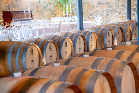 De Livourne : Pise avec déjeuner et dégustation