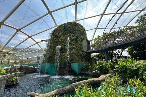 Ocean Park and Philippine Biodome Entry Ticket