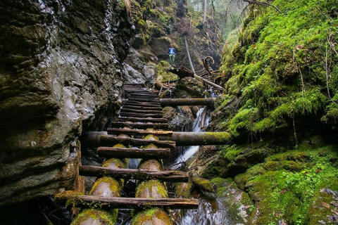 from Zakopane: Slovak Paradise National Park Guided Hike