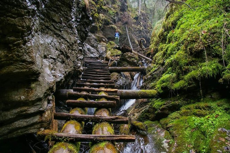 from Zakopane: Slovak Paradise National Park Guided Hike