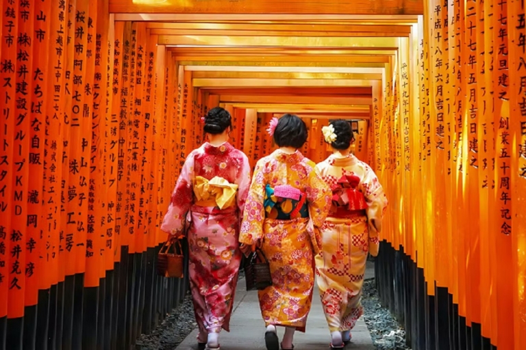 Kyoto tour de 1 día:Kiyomizu-dera, Kinkakuji y Fushimi InariRecogida en la estación de Kioto 9:50
