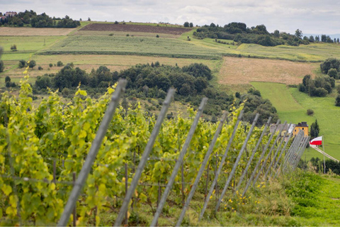 Krakow: Privat tur till lavendelfält och vinprovningKraków: Privat tur till lavendelfält och vinprovning