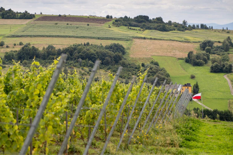 Krakow: Privat tur till lavendelfält och vinprovningKraków: Privat tur till lavendelfält och vinprovning