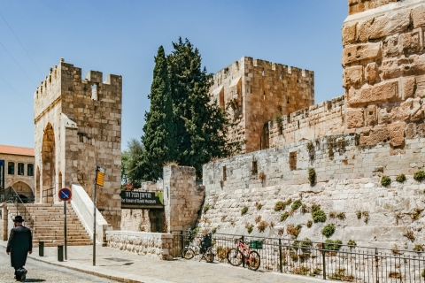 Vanuit Tel Aviv: dagtour naar Jeruzalem en BethlehemRondleiding in het Duits