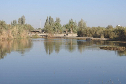 History & Nature: Azraq Wetland Reserve and Desert Castles