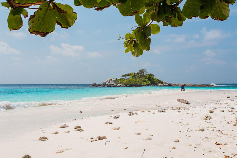 Phuket Dolfijn Zoektocht: Expeditie naar Racha &amp; Maiton eiland