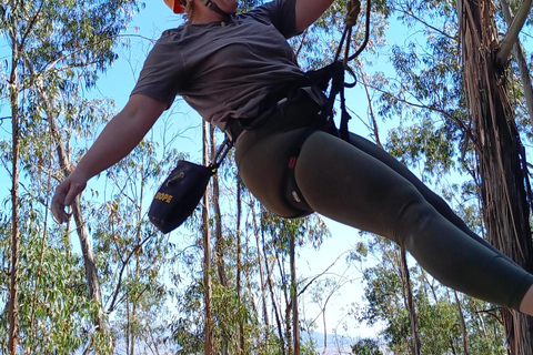 Sucre Rock Climbing Tour