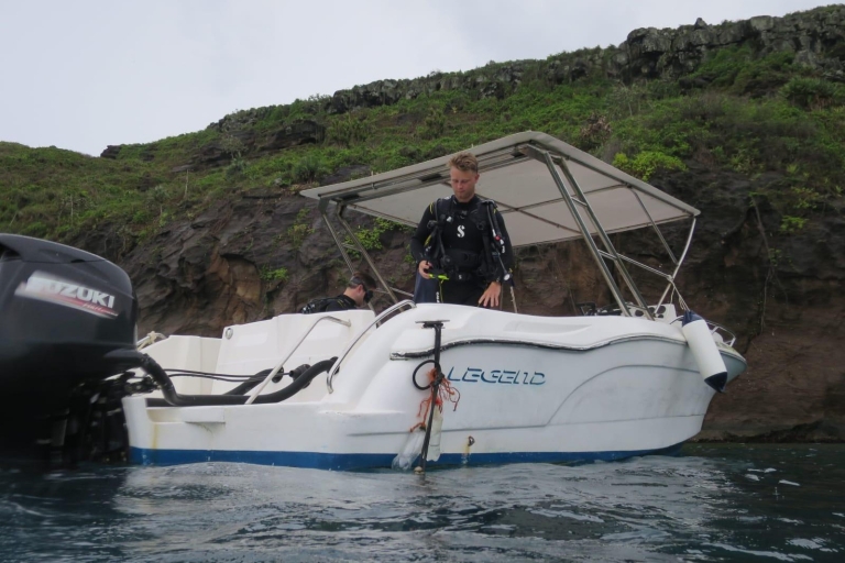 Mauricio: aventura de buceo de 3 horas en la costa esteMauricio: aventura de buceo de 3 horas en la costa oeste