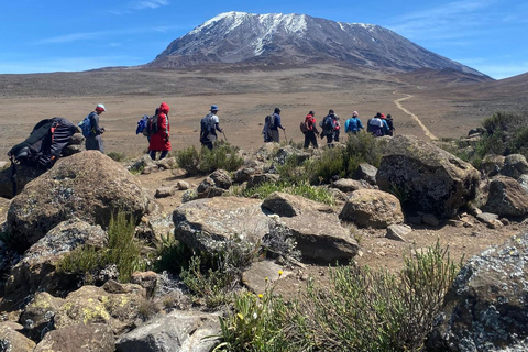 Kilimanjaro: Rongai Route 6-Day Hiking Adventure