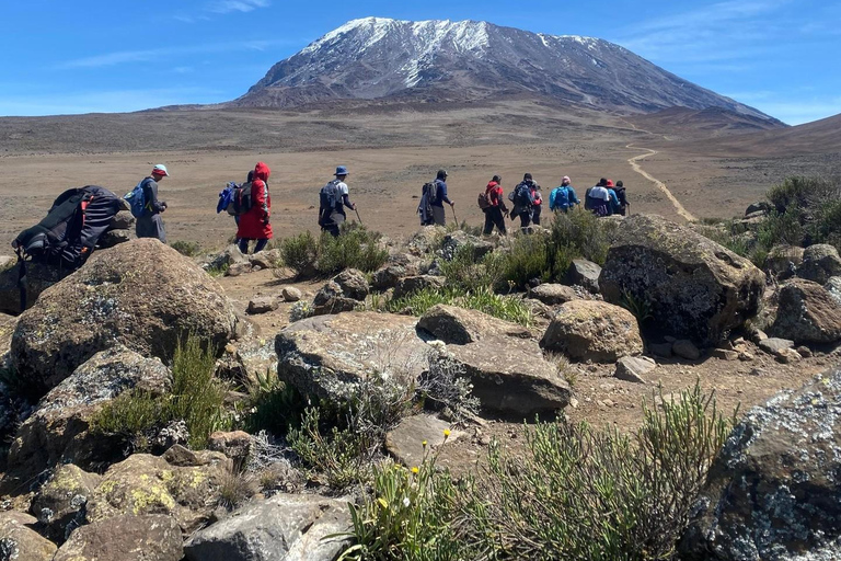 Kilimanjaro: Rongai Route 6-Day Hiking Adventure