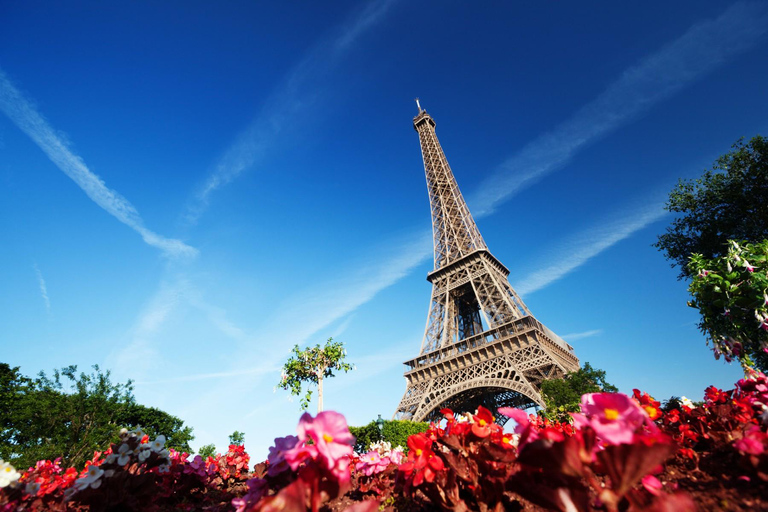 From London: Paris, Louvre, Notre Dame, Eiffel Tower & Lunch 3-course lunch at Eiffel Tower, Notre Dame + Standard class