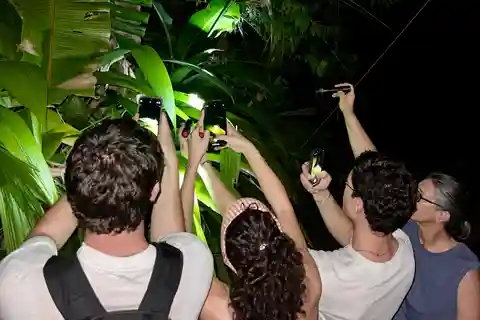 Manuel Antonio: Aftentur med en naturalistisk guide