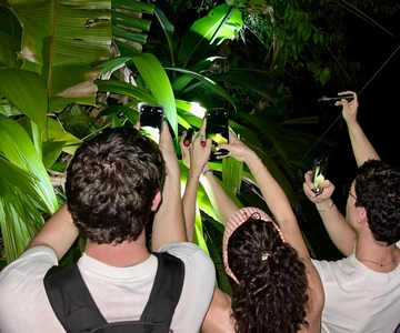 Manuel Antonio: Night Walking Tour with a Naturalist Guide
