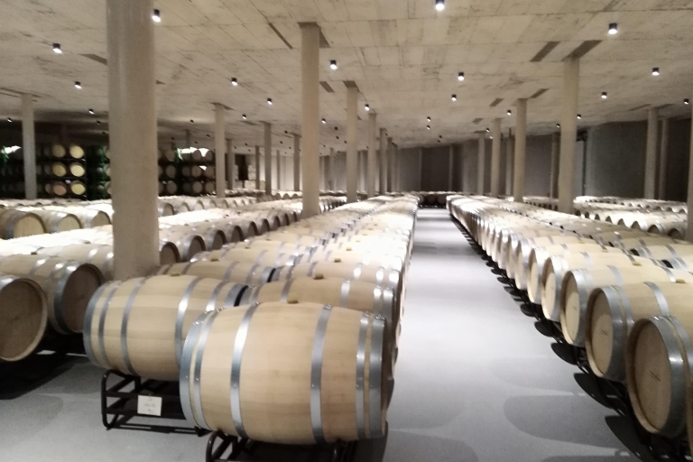 Requena: 1/2 Tag Weinberge & Premium WeinverkostungenGruppentour für Einzelreisende zu niedrigerem Preis