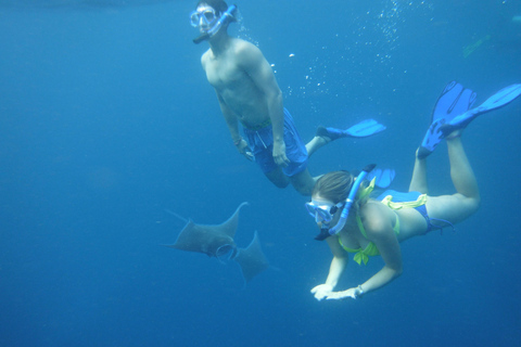 Nusa Penida: West Trip & Snorkeling Manta Bay with Lunch Snorkeling and Penida tour all Include Shuttle hotel In Bali