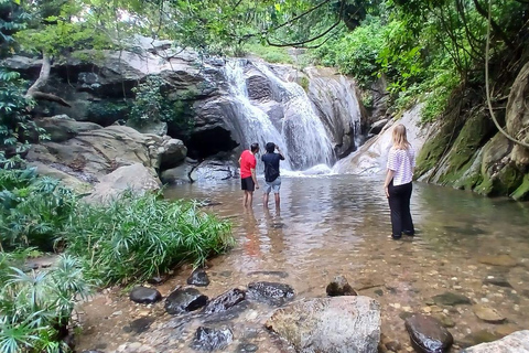 ELLA Lipton Seat Tea Test & Pluck 9Arch, Waterfalls, & Food Lipton's Seat, Little Adam Peak, 9 Arch, Ravana Waterfalls