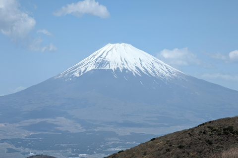 Tokyo: Personalized Half-day Tour