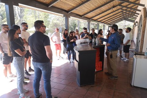 Visite prolongée de Concha y Toro avec 7 dégustations et Lapis Lazuli