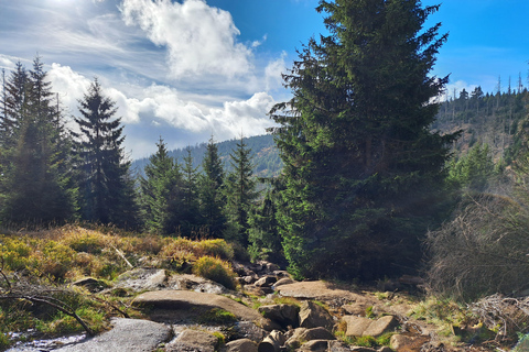 Sentier des sorcières du Harz - randonnée guidée de 5 jours (jeu-lundi)