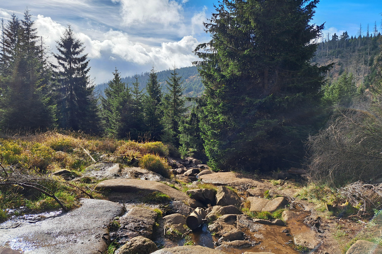 Harzer Hexenstieg – 5-tägige geführte Wanderung (Do-Mo)