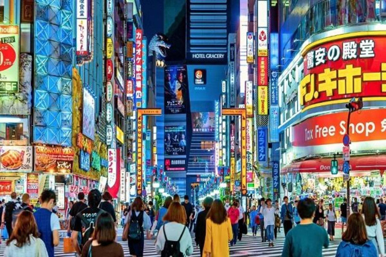 Tokyo: Tour privato di un giorno intero con autista che parla inglese