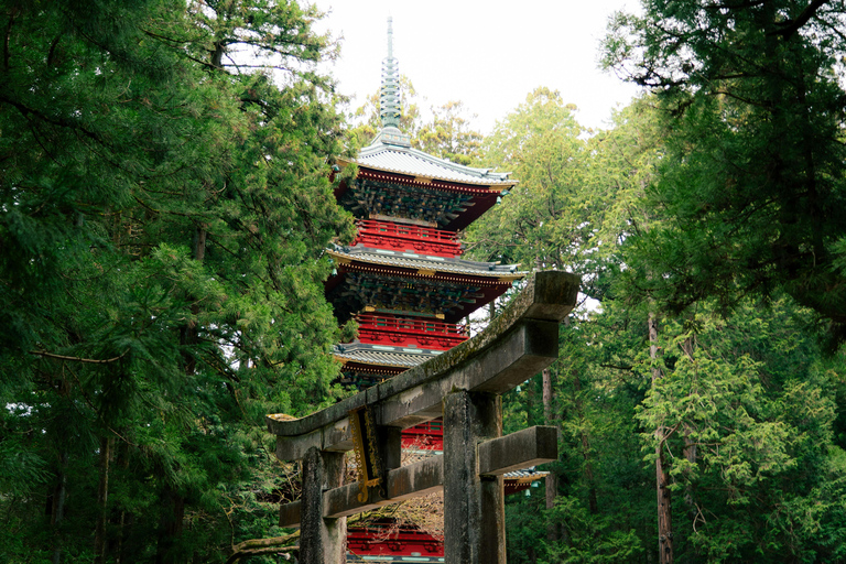 Tokyo: Nikko Private Tour with English Speaking Driver Comfortable sedan